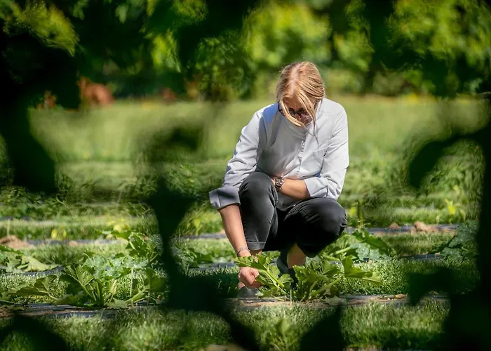 Fiori E Frutti Agriresort Venezia Mestre