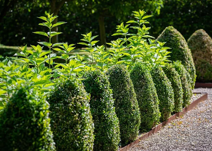 Fiori E Frutti Agriresort Venezia 5*