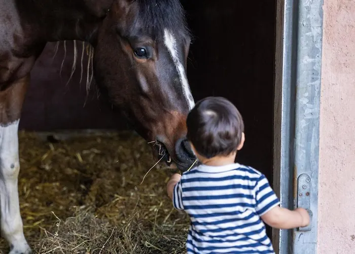 Hotel Fiori E Frutti Agriresort Venezia